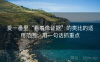 爱一番里“看着像证据”的类比的适用范围：用一句话抓重点