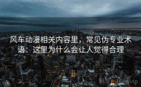 风车动漫相关内容里,常见伪专业术语:这里为什么会让人觉得合理