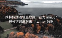 推特传播语境里数据口径为何常见：把关键词串起来，twitter 数据