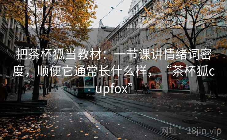 把茶杯狐当教材：一节课讲情绪词密度，顺便它通常长什么样，“茶杯狐cupfox”