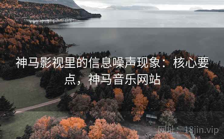 神马影视里的信息噪声现象：核心要点，神马音乐网站